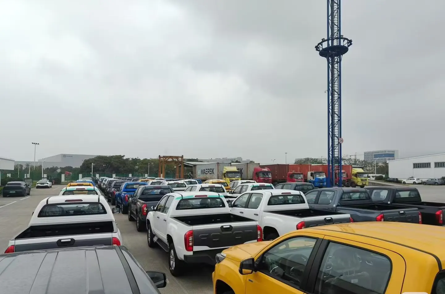 Vehicles staged in a yard before export